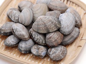 Kerang Ijo hingga Kerang Batik Jadi Menu Favorit di Seafood Gerobakan