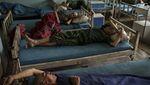 Langkah Taliban Basmi Jerat Narkoba di Afghanistan
