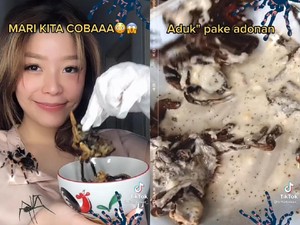 Doyan Makanan Ekstrem, Netizen Ini Goreng Tarantula Peliharaannya