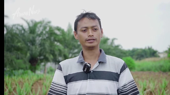 Mantan Sopir Metromini Jadi Petani Lidah Buaya Mantan Sopir Metromini Jadi Petani Lidah Buaya, Segini Omzetnya