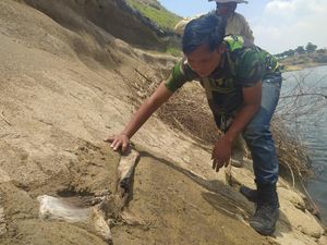 Heboh Fosil di Waduk Saguling, Begini Hasil Penelitian Tim ITB