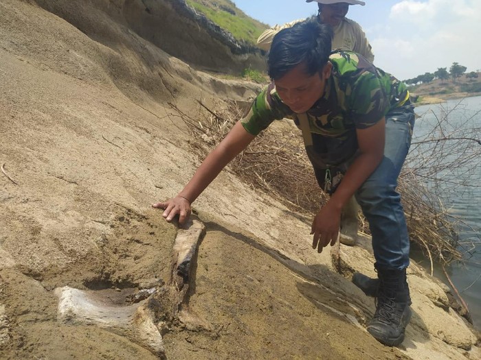Penampakan benda diduga fosil hewan purba di Waduk Saguling