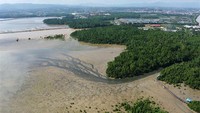 Meski telah dilakukan penyedotan, tapi pendangkalan Teluk Kendari belum bisa diatasi. 