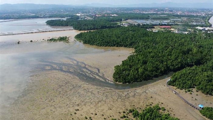 Foto udara kondisi air laut yang keruh akibat material lumpur di Teluk Kendari, Kendari, Sulawesi Tenggara, Kamis (7/10/2021). Pemerintah setempat masih melakukan penyedotan lumpur sejak empat tahun lalu tapi pendangkalan Teluk Kendari belum bisa diatasi dikarenakan volume sampah dan tanah kiriman dari tambang galian C dari daratan terus terjadi dan bertambah. ANTARA FOTO/Jojon/aww.
