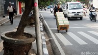 Pot tanaman itu pecah dan serpihannya ada yang masih berserakan.