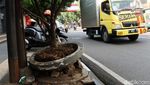 Duh... Pot Tanaman di Jalan Dewi Sartika Bandung Dibiarkan Rusak