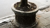 Belum diketahui sejak kapan pot tanaman itu rusak.