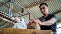 Suryadi mengatakan untuk perawatan baik kelinci pedaging maupun hias tak ada bedanya. Yang terpenting kandang kelinci harus selalu dalam kondisi bersih. Selain itu jangan lupa memberikan asupan vitamin dan pakan sesuai kebutuhan hewan menggemaskan tersebut. 