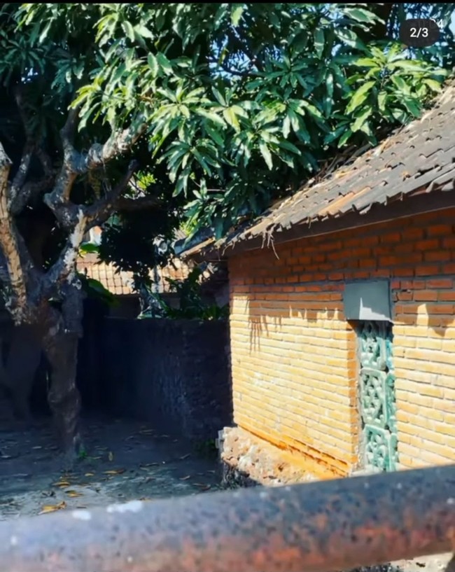 Menurut pengakuannya, pagar belakang lebih sering menjadi akses masuknya ketimbang lewat depan. Tampak terdapat pepohonan rimbun di halaman belakang rumah. (Foto: Instagram/@junarorimpandeyofficial)