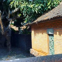 Menurut pengakuannya, pagar belakang lebih sering menjadi akses masuknya ketimbang lewat depan. Tampak terdapat pepohonan rimbun di halaman belakang rumah. (Foto: Instagram/@junarorimpandeyofficial)