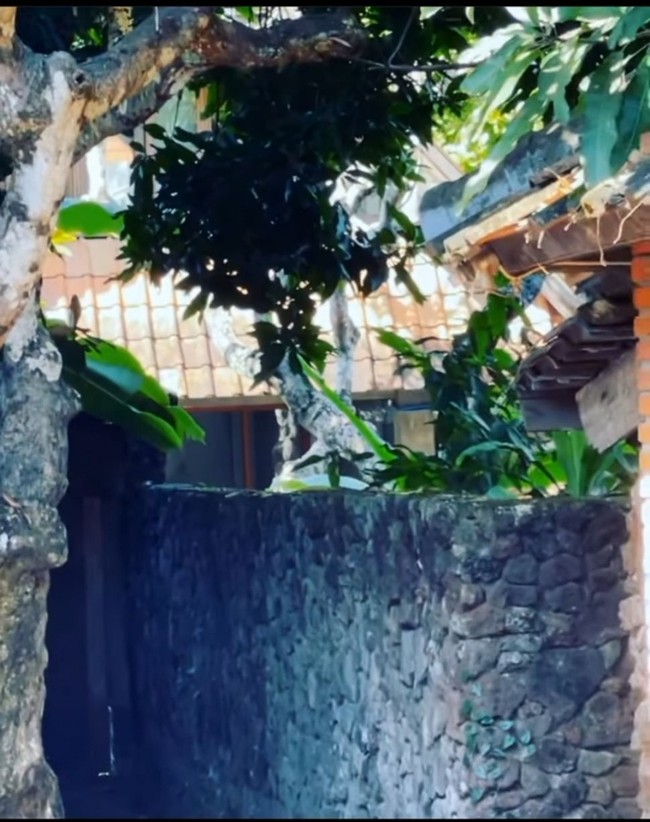 Chef Juna menghabiskan masa kecilnya di Bali dari SD hingga SMP. Meski tak semewah huniannya sekarang, rumah ini meninggalkan banyak kenangan untuknya. (Foto: Instagram/@junarorimpandeyofficial)