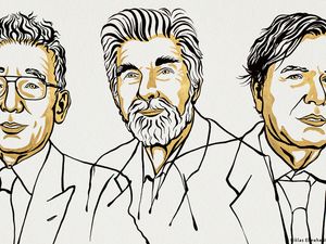 Reaksi Warga Jepang Setelah Ilmuwannya Raih Nobel
