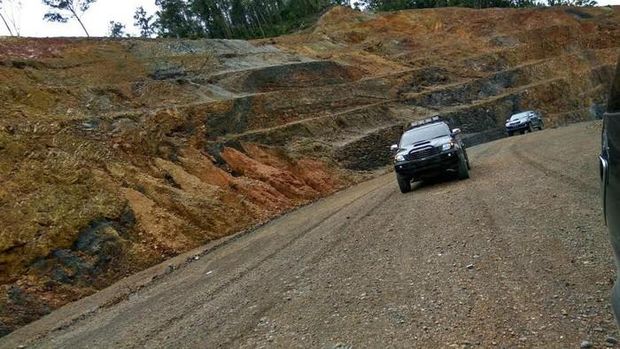 Trans Papua (Hendra Kesuma/Detikcom)