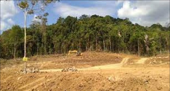 Alih Fungsi Hutan Bowosie dan Ketidakadilan Ekologis di Labua