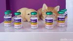 Bangga! RI Bikin Vaksin Rabies-H5N1 dan Serum Flu Babi