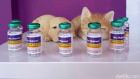 Pertama, vaksin rabies bertajuk Neorobivet, yang merupakan karya asli anak bangsa. Vaksin ini sudah teregistrasi dan terverifikasi untuk vaksin pada anjing, kera hingga kucing. Vaksin kedua yakni, vaksin Afluvet Hilow. Vaksin ini merupakan vaksin kombinasi yang mengandung virus H5N1 atau Flu Burung dan H9N2 atau Avian Influenza. Vaksin ini juga bisa memberikan perlindungan pada virus AIH5N1. Ketiga, ada serum flu babi bertajuk Scovet ASF. Serum ini merupakan yang pertama di dunia, karena selama 50 tahun penelitian, vaksin flu babi belum juga ditemukan. Tak hanya itu, serum ini juga sudah diujicobakan di sejumlah babi ternak dan memiliki efektivitas hingga 52%.
