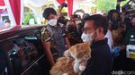 Bangga! RI Bikin Vaksin Rabies-H5N1 dan Serum Flu Babi