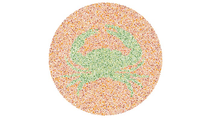 Bisakah Mata Kamu Membedakan Warna? Coba Tebak Gambar Berikut