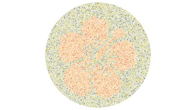 Bisakah Mata Kamu Membedakan Warna? Coba Tebak Gambar Berikut