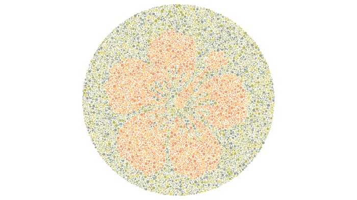 Bisakah Mata Kamu Membedakan Warna? Coba Tebak Gambar Berikut