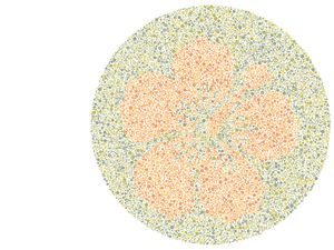 Bisakah Mata Kamu Membedakan Warna? Coba Tebak Gambar Berikut
