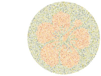Bisakah Mata Kamu Membedakan Warna? Coba Tebak Gambar Berikut