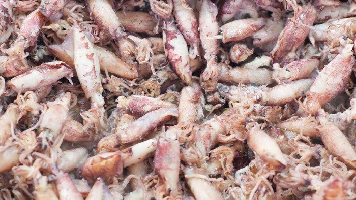 Cara Memasak Cumi Asin