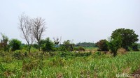 Situs Watu Kucur ditemukan di tengah perkebunan tebu Dusun Penanggalan, Desa Dukuhdimoro, Kecamatan Mojoagung, Kabupaten Jombang.