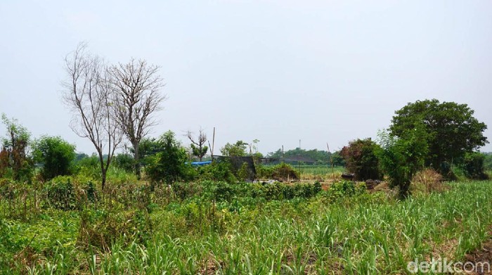 Ekskavasi Situs Watu Kucur, Tempat Pemujaan Zaman Majapahit Ekskavasi tengah dilakukan terhadap Situs Watu Kucur di Jombang, Jatim. Situs ini merupakan bangunan suci tempat pemujaan Dewa Siwa dan Dewi Parwati pada zaman Majapahit.