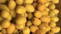 Penggemar korma muda, Bunda Dorce tak malu berjualan di akun Instagramnya. Semua dia lakukan demi mendapatkan nafkah yang halal. Foto: Instagram
