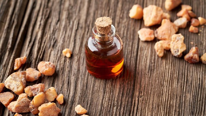 Kemenyan Tak Melulu Mistis, Dokter Herbal Ungkap Manfaatnya untuk Medis