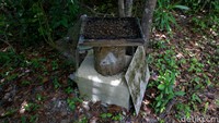 Propolis atau lem lebah sendiri merupakan zat resin yang dikumpulkan lebah dari sumber tumbuhan yang memiliki banyak manfaat bagi kesehatan manusia sehingga memiliki nilai ekonomis cukup tinggi.   