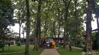 Suasananya sangat sejuk dan asri. Rerumputan hijau yang tertata rapi, pohon jati yang berjejer membuat tempat makan outdoor ini rindang.  