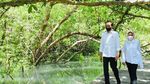 Potret Jokowi dan Iriana Berduaan Susuri Hutan Mangrove di Bali