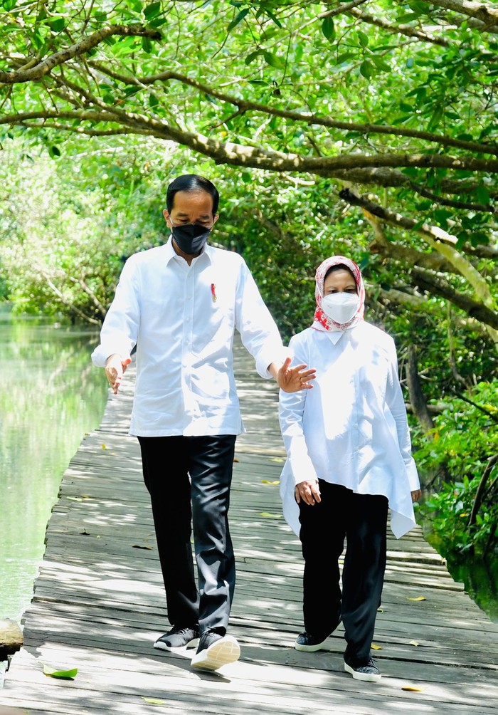 Presiden Jokowi dan Iriana di Hutan Mangrove Bali Presiden Jokowi dan Iriana di Hutan Mangrove Bali