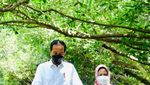 Potret Jokowi dan Iriana Berduaan Susuri Hutan Mangrove di Bali