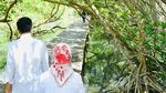 Potret Jokowi dan Iriana Berduaan Susuri Hutan Mangrove di Bali