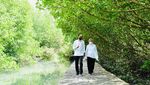 Potret Jokowi dan Iriana Berduaan Susuri Hutan Mangrove di Bali