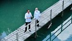 Potret Jokowi dan Iriana Berduaan Susuri Hutan Mangrove di Bali