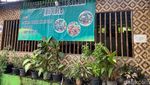 Makan Ayam Kampung Bakar dan Sambal Dadak khas Ibu Ubed di Bogor