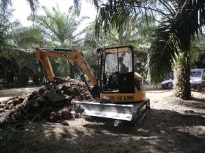 2 PR Pemerintah Genjot Produktivitas Kebun Sawit di Indonesia