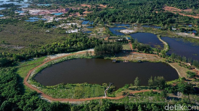 Bekas tambang timah di Belitung Timur ini kini berubah menjadi oase di Desa Selinsing Kecamatan Gantung, Belitung.