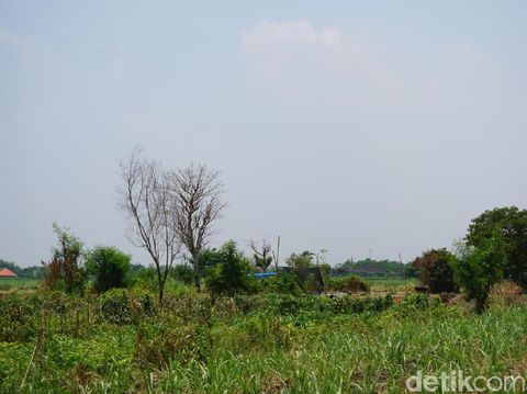 BPCB Jatim mengekskavasi Situs Watu Kucur di Jombang. Tempat penggalian arkeologi tersebut dulunya merupakan punden yang dikeramatkan warga setempat.