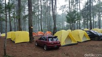 Jika Anda ingin berkemah namun tak mau ribet, nampaknya camping ground Cozy Land bisa jadi pilihan. Cozy Land menawarkan wisata alam dengan suasana sejuk deretan pohon pinus. (Whisnu Pradana/detikTravel)