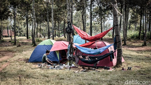 Camping ground Geger Bintang Matahari cocok untuk yang pemula yang sama sekali belum pernah berkemah. Untuk menikmati suasana kemah di Geger Bintang Matahari, pengunjung cukup merogoh kocek Rp 20 ribu. Sementara jika hanya ingin sekadar hiking, cukup mengeluarkan uang Rp 10 ribu saja. (Whisnu Pradana/detikTravel) Camping ground Geger Bintang Matahari cocok untuk yang pemula yang sama sekali belum pernah berkemah. Untuk menikmati suasana kemah di Geger Bintang Matahari, pengunjung cukup merogoh kocek Rp 20 ribu. Sementara jika hanya ingin sekadar hiking, cukup mengeluarkan uang Rp 10 ribu saja. (Whisnu Pradana/detikTravel)