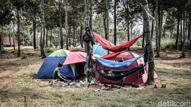 Cozyland Camping Ground - Piknik dan Camping Terbaik di Hutan Pinus Lembang  Bandung - Urban Garut