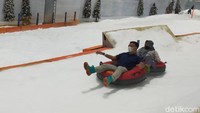 Setelah memasuki kawasan salju, ada wisatawan yang menikmati keseruan bermain snow tube yang meluncur di atas salju. (Tasya Khairally/detikcom)