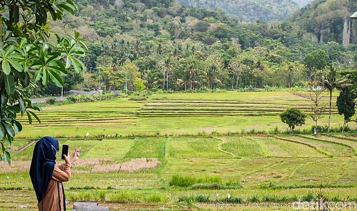 Vaksin with a view di Kulon Progo