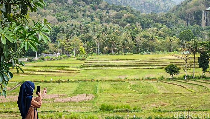 Vaksin with a view di Kulon Progo