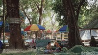 Wisata air ditambah dengan pepohonan yang asri membuat pengunjung betah berlama-lama.
